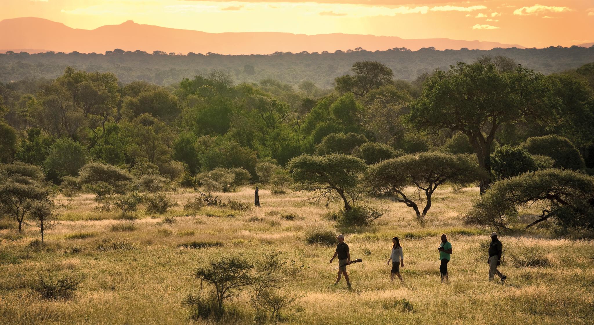 Lion Sands Tinga Lodge Skukuza Εξωτερικό φωτογραφία